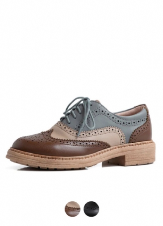Aquamarine Naisten Oxfords-kengät