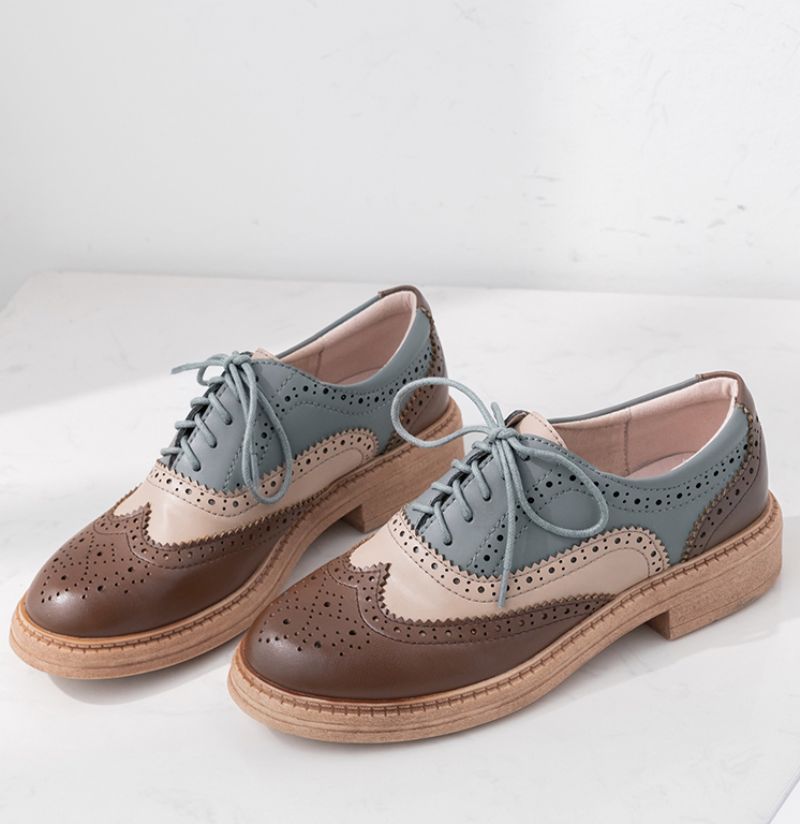 Aquamarine Naisten Oxfords-kengät - Ruskea