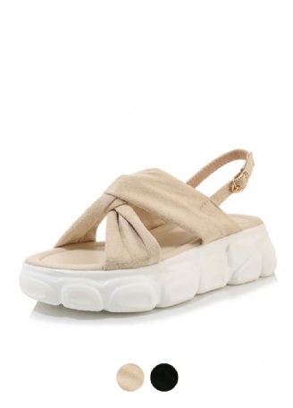 Aricia Wedges