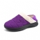 Purppura
