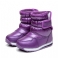 Purppura