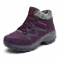 Purppura