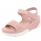 Pinkki
