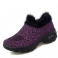 Purppura