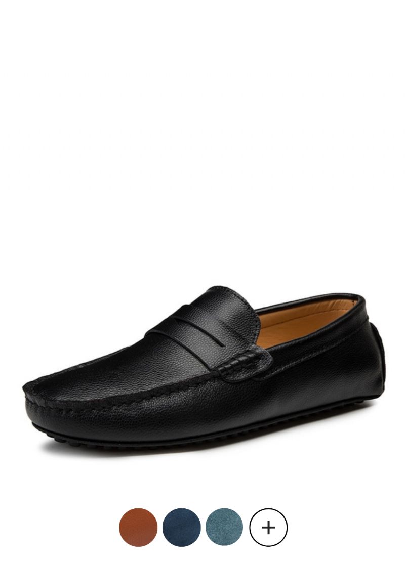Miesten Darwin Loafer -kengät