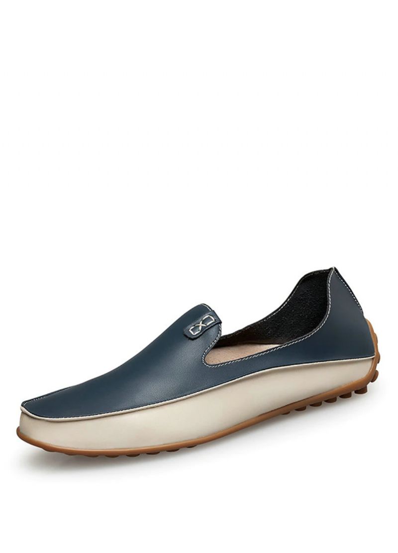 Miesten Molinaro Loafers -kengät