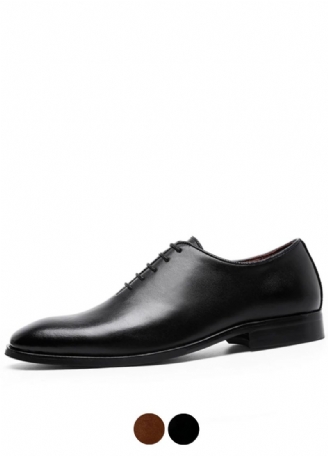 Miesten Rachel Oxford -kengät
