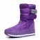 Purppura