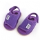 Purppura